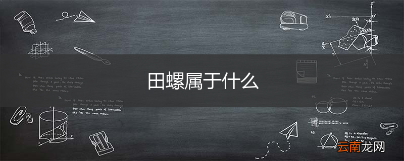 田螺属于什么