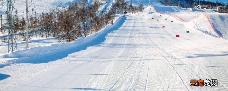 雪场的雪为什么不容易化