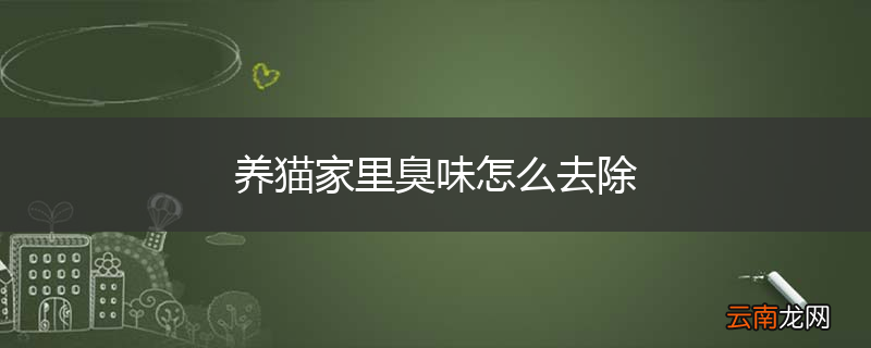 养猫家里臭味怎么去除