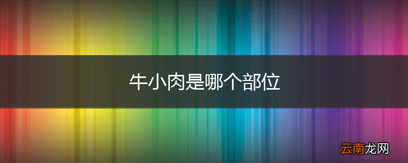 牛小肉是哪个部位