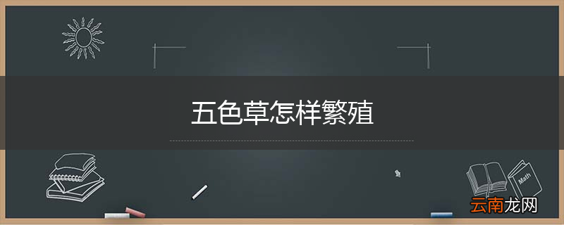 五色草怎样繁殖