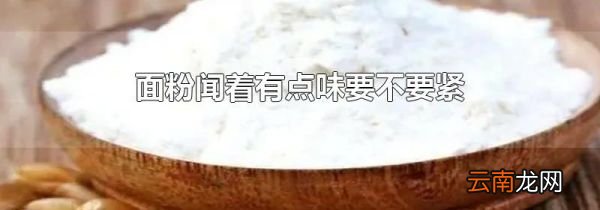 面粉闻着有点味要不要紧