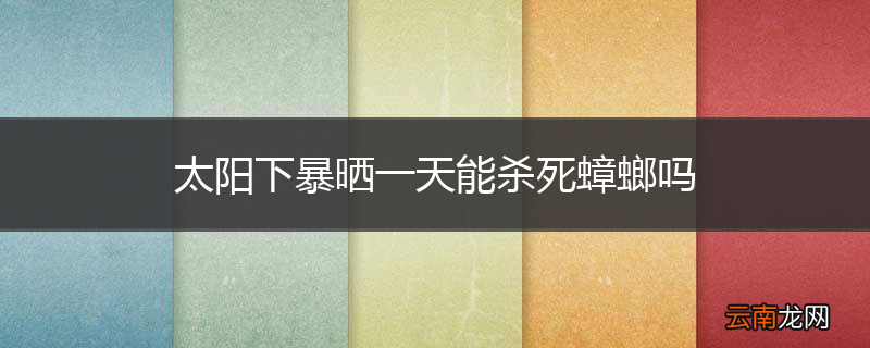 太阳下暴晒一天能杀死蟑螂吗