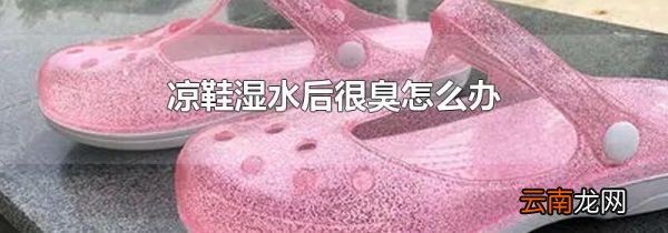 凉鞋湿水后很臭怎么办
