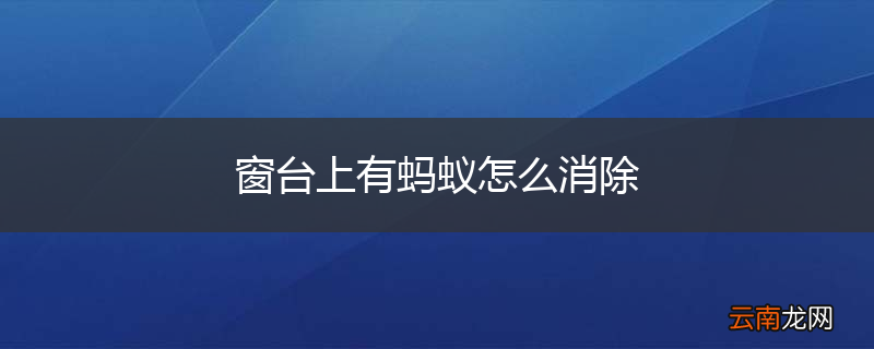 窗台上有蚂蚁怎么消除