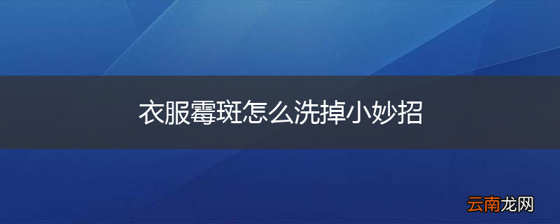 衣服霉斑怎么洗掉小妙招