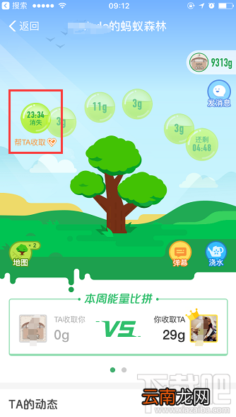 支付宝蚂蚁森林增加新功能 可帮好友收能量