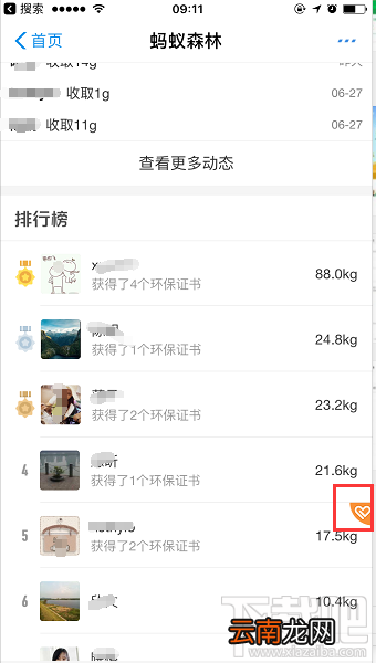 支付宝蚂蚁森林增加新功能 可帮好友收能量