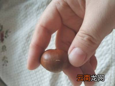 糖炒栗子怎么剥皮