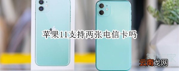 苹果11支持两张电信卡吗