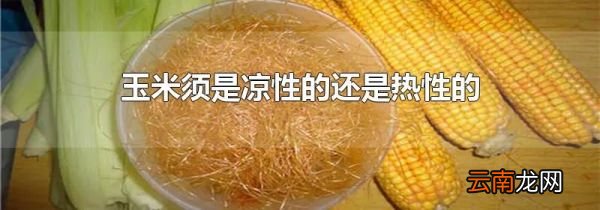玉米须是凉性的还是热性的