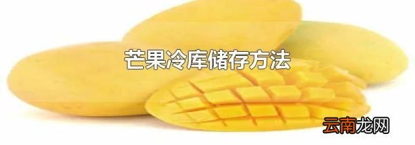 芒果冷库储存方法