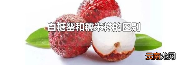 白糖罂和糯米糍的区别