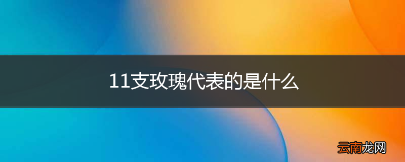 11支玫瑰代表的是什么