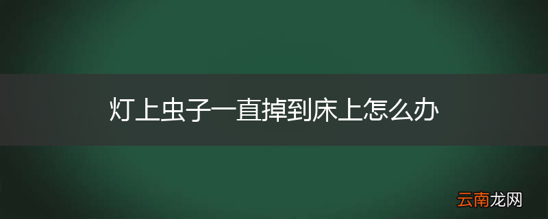 灯上虫子一直掉到床上怎么办