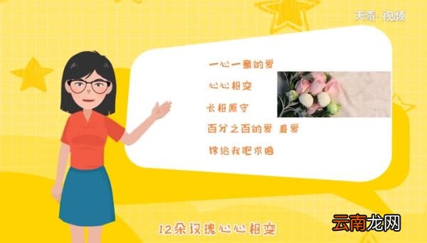 送玫瑰花朵数的含义 玫瑰朵数的寓意