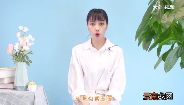 送玫瑰花朵数的含义 玫瑰朵数的寓意