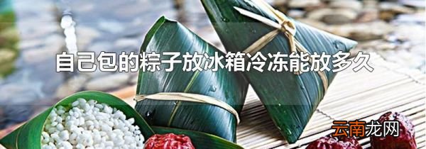 自己包的粽子放冰箱冷冻能放多久