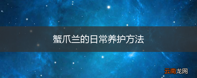 蟹爪兰的日常养护方法