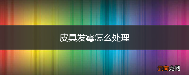 皮具发霉怎么处理