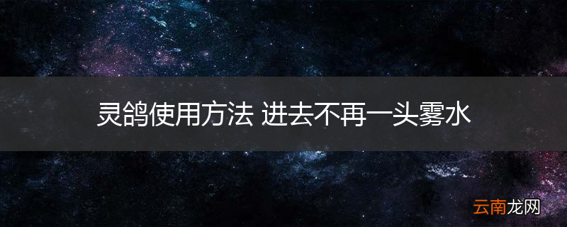 灵鸽使用方法 进去不再一头雾水