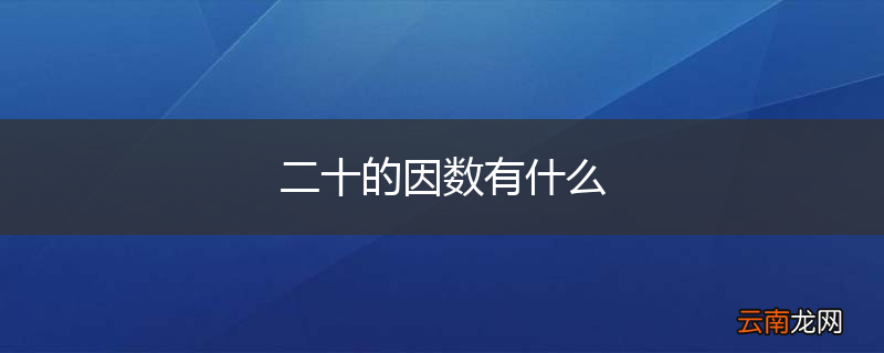 二十的因数有什么