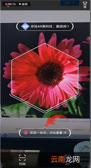 支付宝中使用扫一扫识别花草具体操作步骤