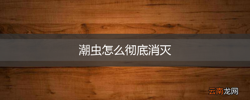 潮虫怎么彻底消灭