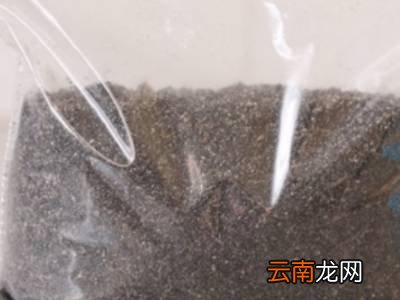 没有工具怎么磨芝麻
