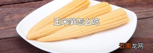 玉米笋怎么吃