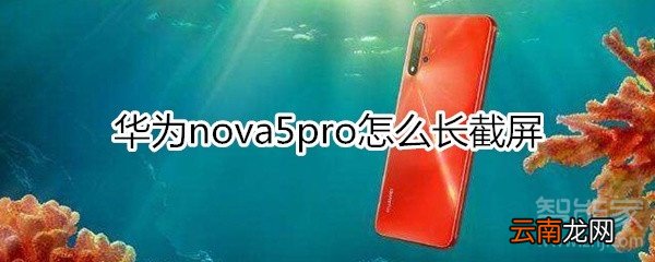 nova5pro怎么长截屏