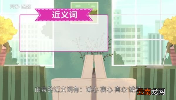 由衷的意思，由衷的解释