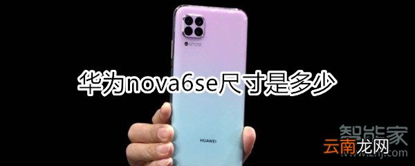 nova6se尺寸