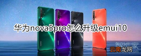 nova5pro怎么升级emui10