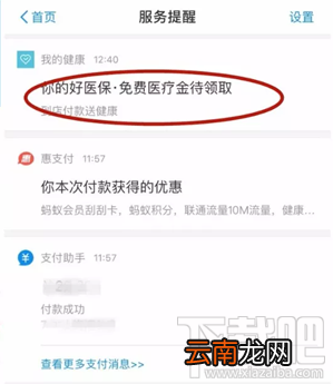 支付宝免费医疗金怎么看