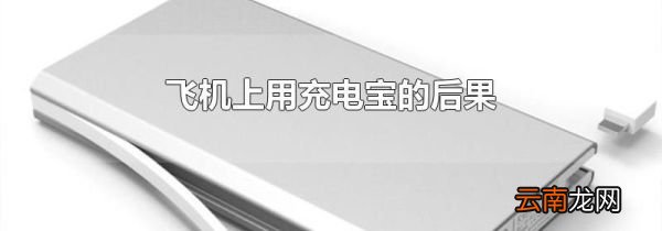 飞机上用充电宝的后果