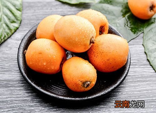 枇杷的保鲜方法 新鲜枇杷怎样存放