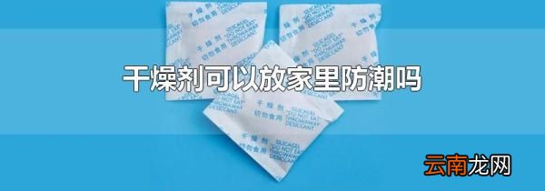 干燥剂可以放家里防潮吗