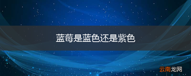 蓝莓是蓝色还是紫色