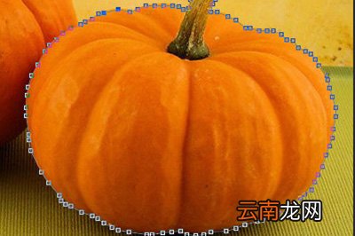 Photoshop中使用钢笔抠图具体操作步骤