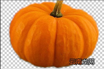 Photoshop中使用钢笔抠图具体操作步骤