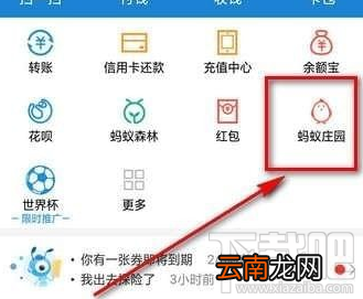 支付宝蚂蚁庄园花呗套装介绍