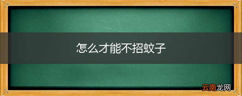怎么才能不招蚊子
