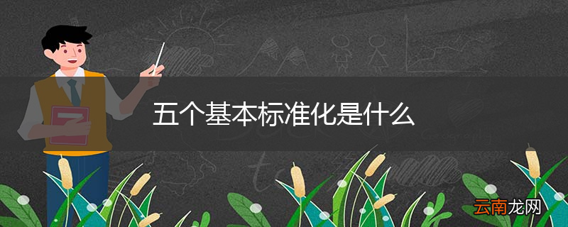 五个基本标准化是什么