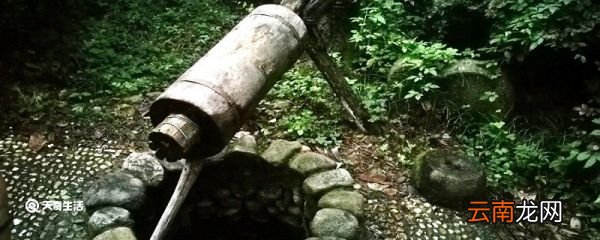 乌龟与水井告诉我们什么道理 乌龟和水井告诉我们什么道理