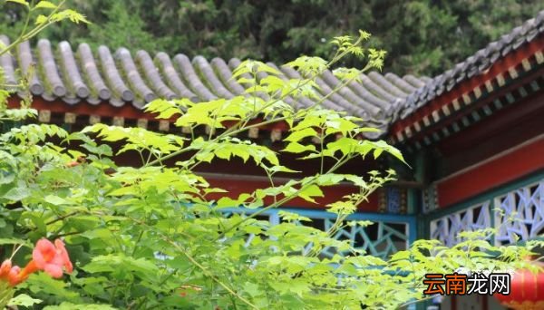 松江是哪里 松江是哪里位置