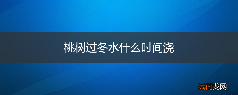 桃树过冬水什么时间浇