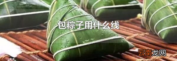 包粽子用什么线