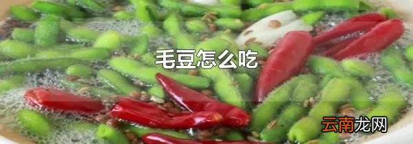 毛豆怎么吃