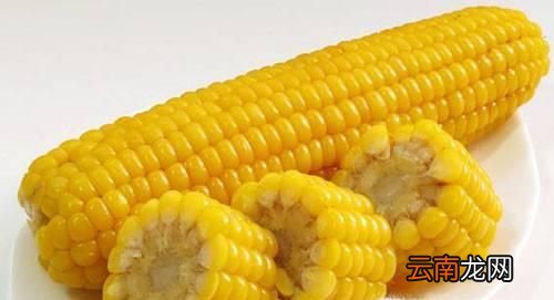 煮玉米需要多长时间？